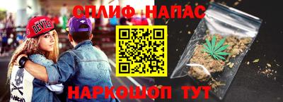 Альфа ПВП Можга