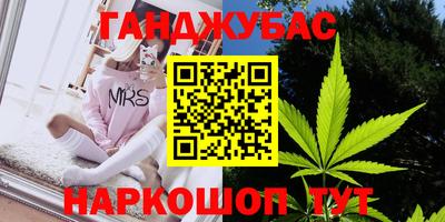 Альфа ПВП Можга