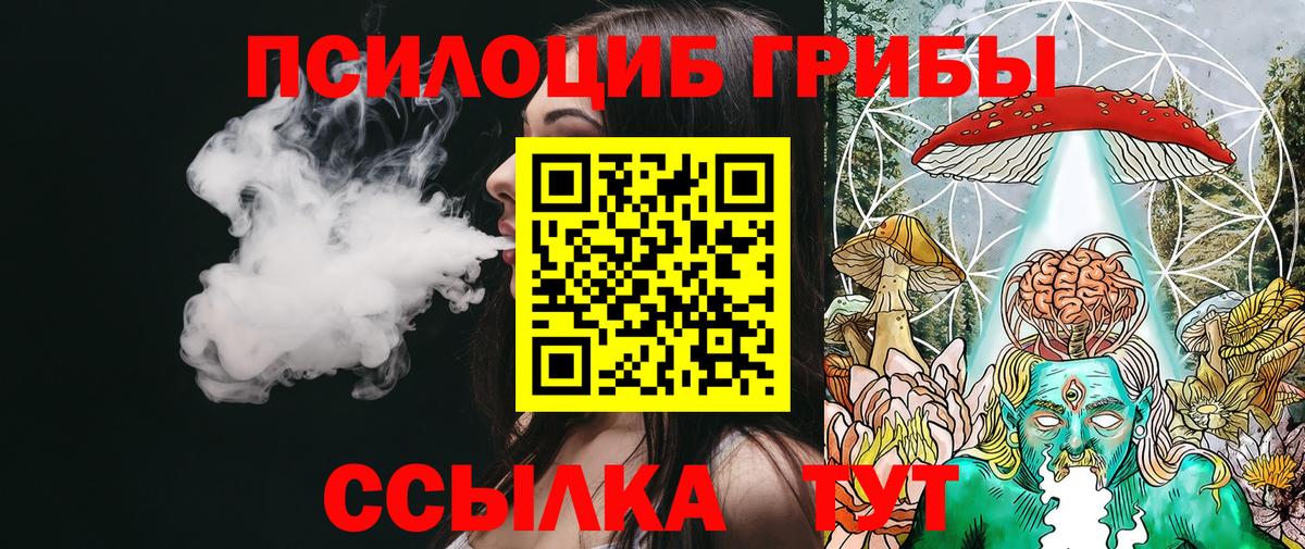 Псилоцибиновые грибы GOLDEN TEACHER Боровичи